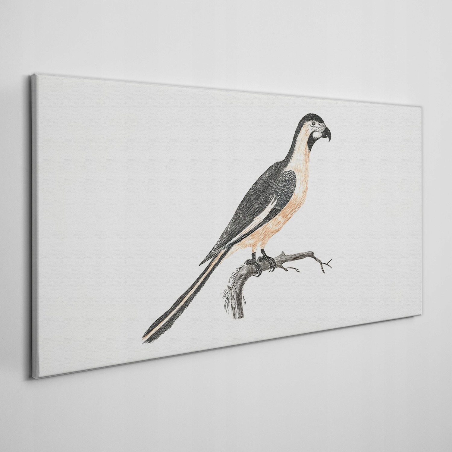 

Obraz na ramie płótno Zwierzę ptak gałąź 120x60 cm