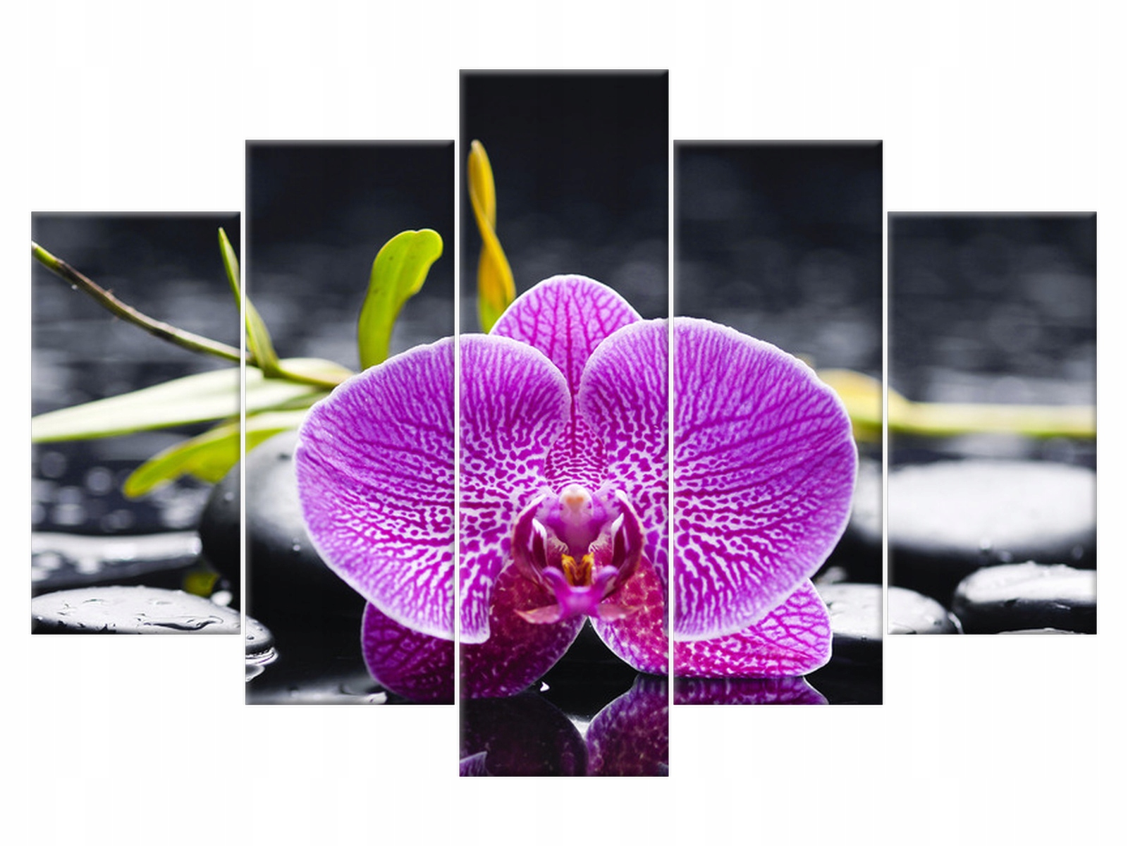 

Obraz Orchidea 150x100 Kwiaty 1159A_5G do salonu