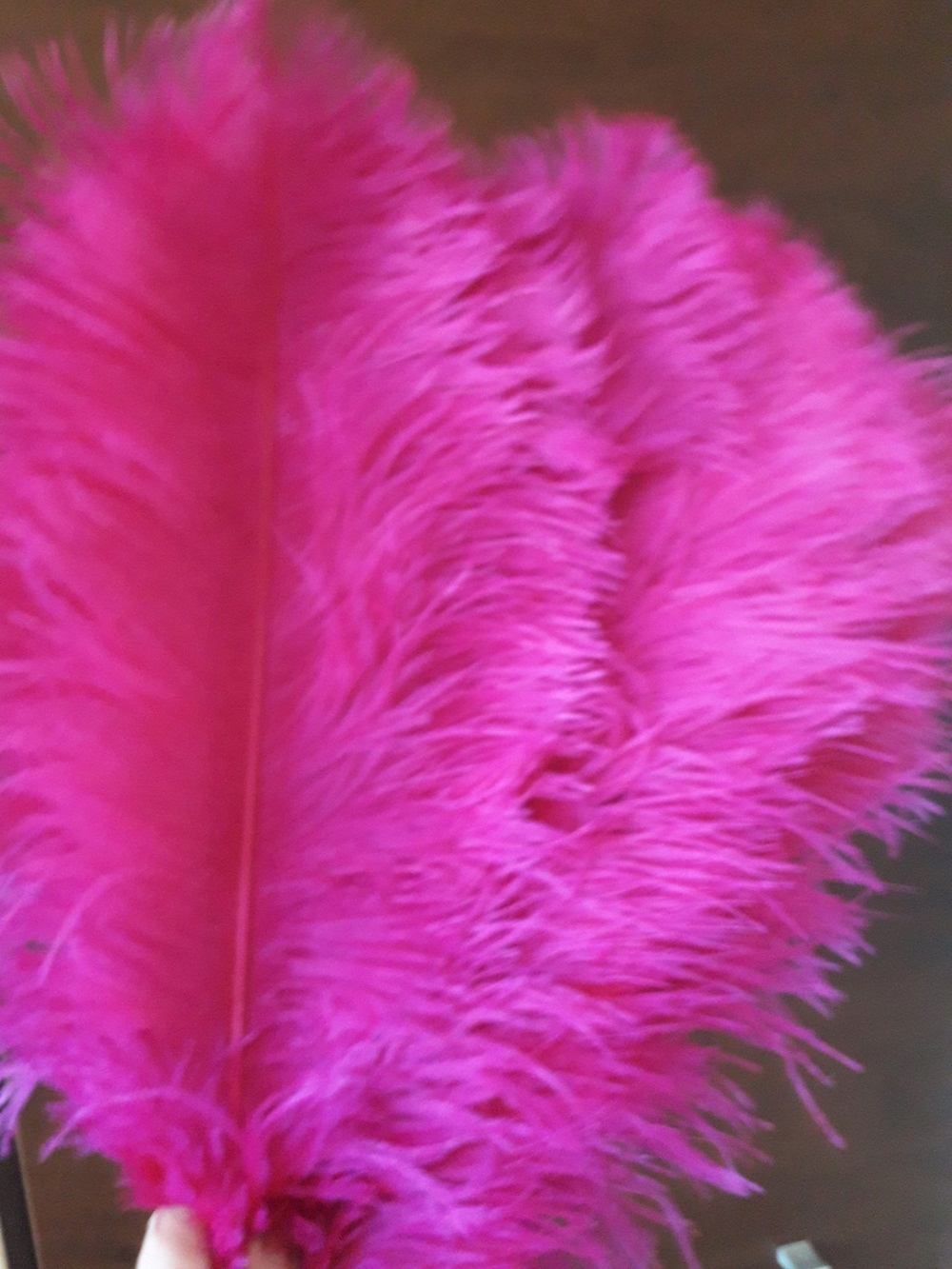 Strusie pióro 45-50 CM fuksja Marka inna