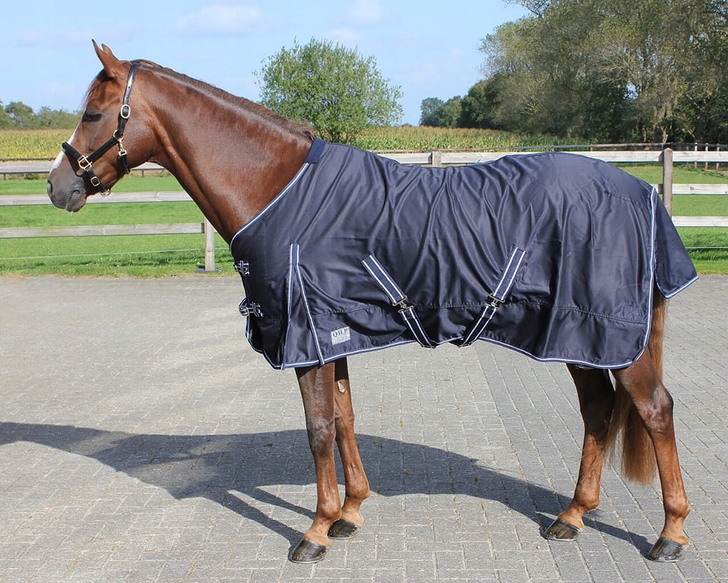 Derka letnia QHP Basic 155cm