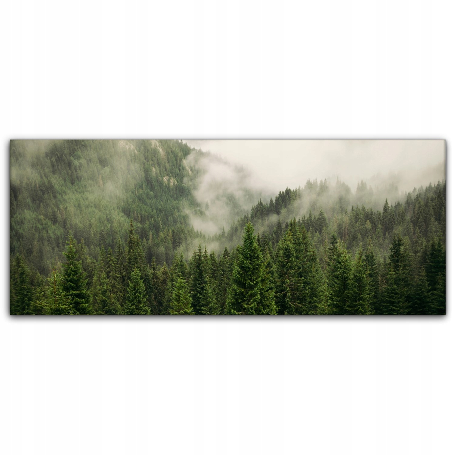 

Canvas płótno do sypialni 125x50 Drzewa Las Góry