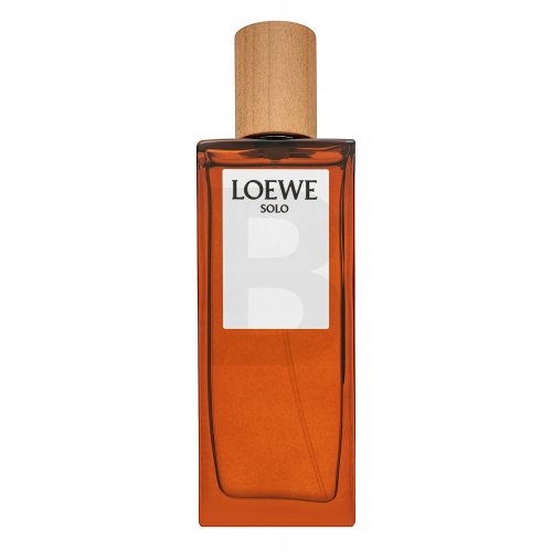 Loewe Solo Loewe Pour Homme toaletní voda pro muže 50 ml