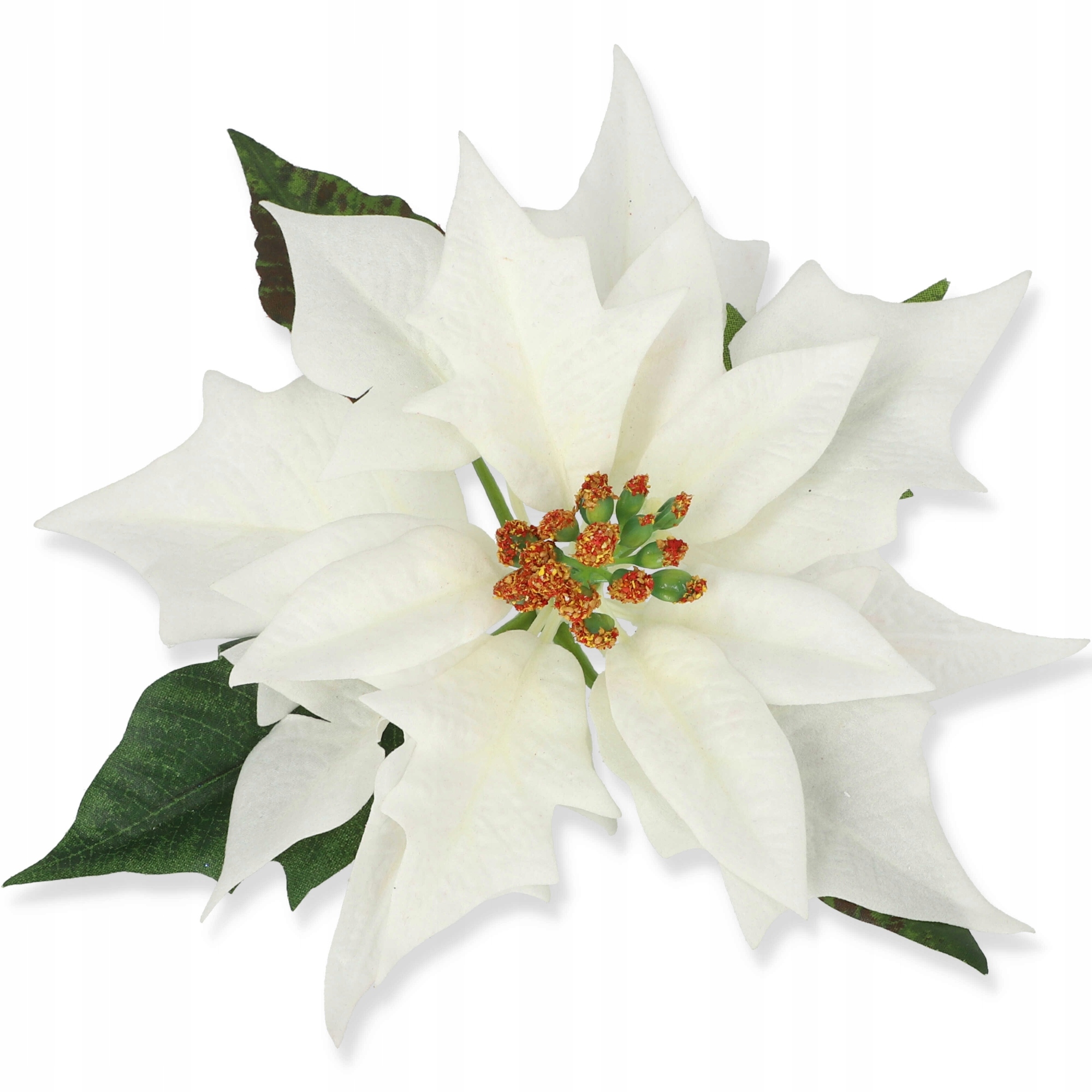 

Gwiazda Betlejemska wyrobowa Poinsecja krem 21 cm