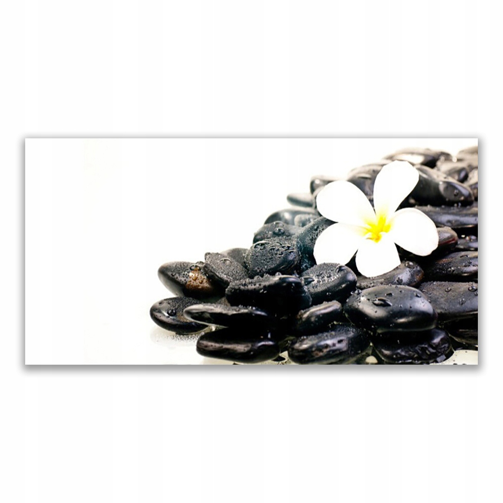 

Obraz akryl ścienny 120x60 Kwiaty Kamienie Sztuka