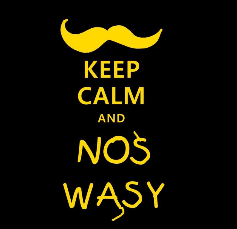 

Męska Śmieszne Koszulki Keep Calm Wzory k9a