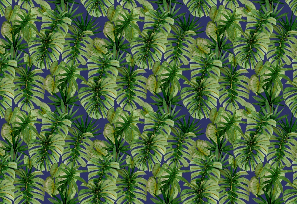 

Tapeta Flizelinowa Tropikalna monstera 152x104