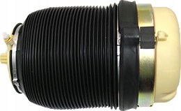 66160001601 - Сильфон пневматичного амортизатора Vika