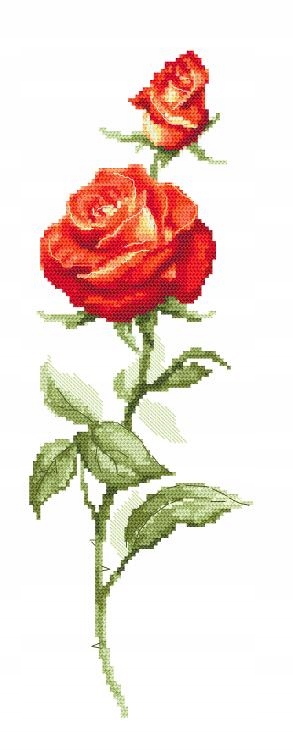 Korálková výšivka Sada s korálky Červená růže