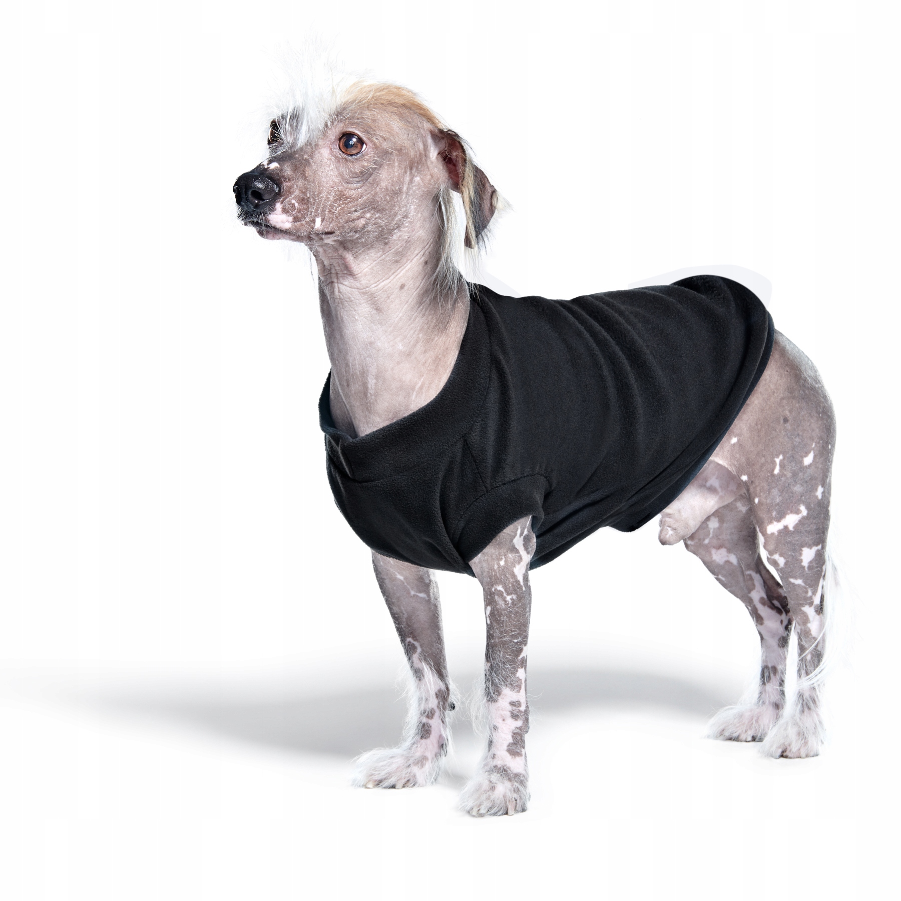 

John Dog bluza ubranko polar dla psa czarny S
