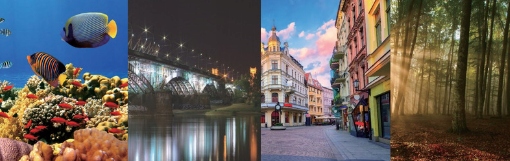 

Zeszyt A5/60 kartek Linia miękka okładka