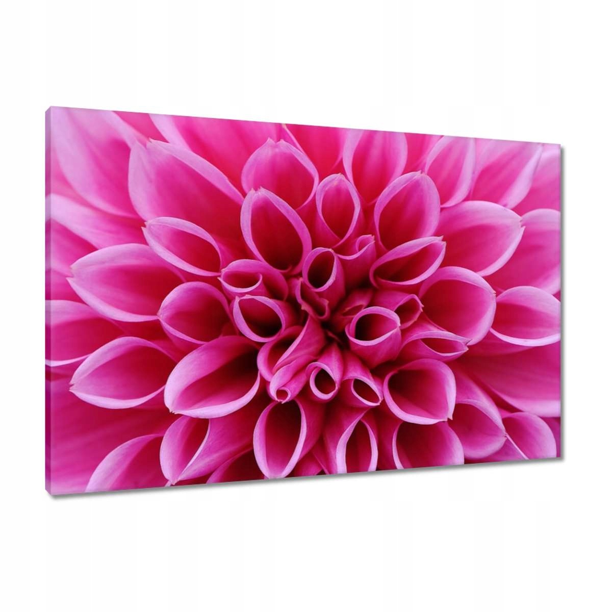 Obrazy 90x60 Lilie