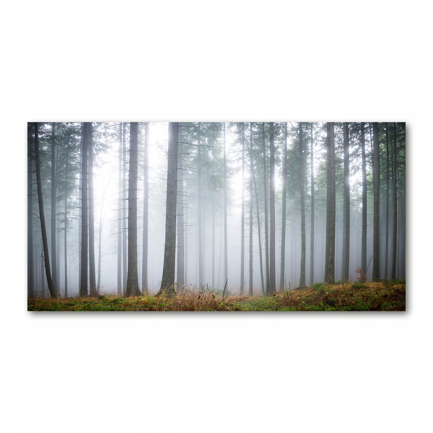 

Foto-obraz akrylowy Mgła w lesie zdjęcie 140x70 cm