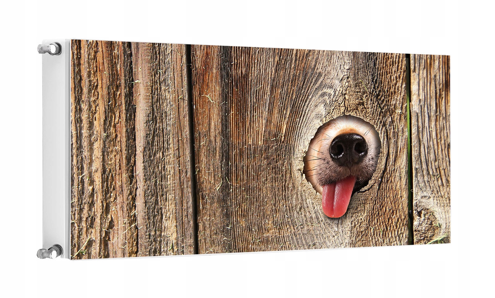 MAGNES OSŁONA MAGNETYCZNA NA KALORYFER 120x60 PIES FOTOTAPETA