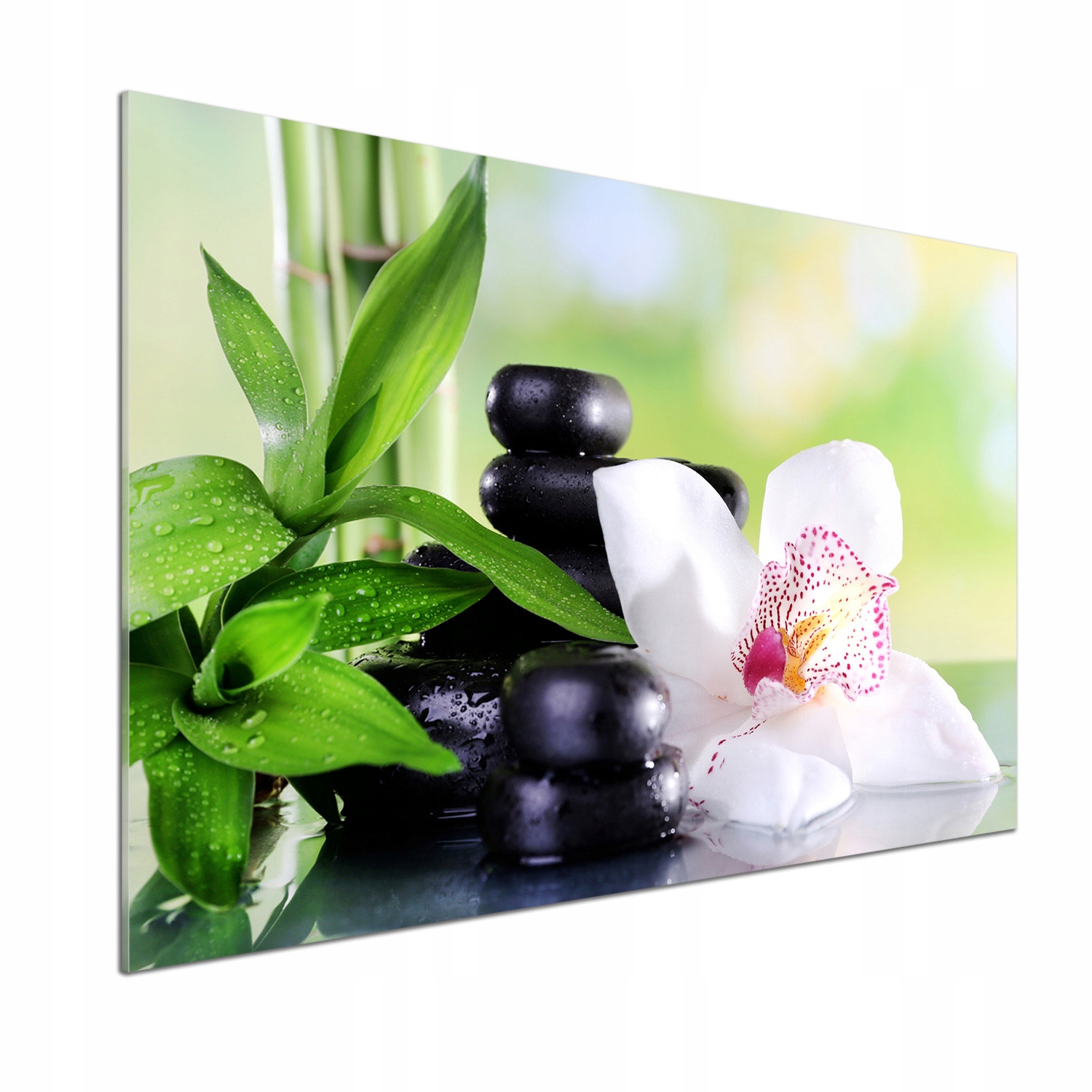 Panel medzi nábytkom v kuchyni Orchidea 100x70 Lepidlo