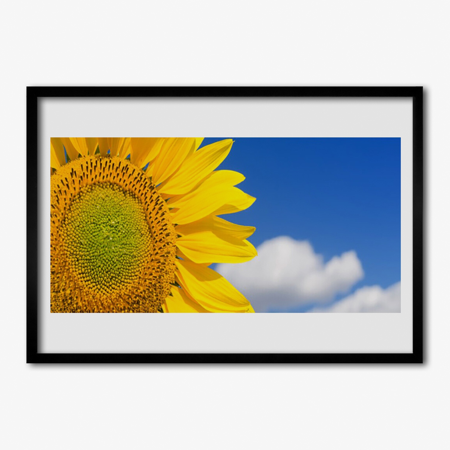 Fotoobraz s rámečkem mdf Slunečnice mraky 70x50 cm