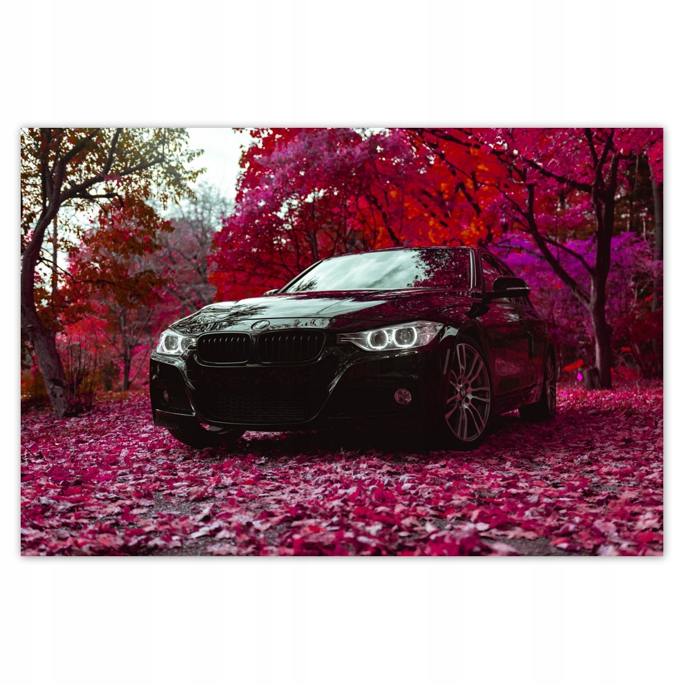 

Plakaty 93x62 Czarne Bmw Jesień