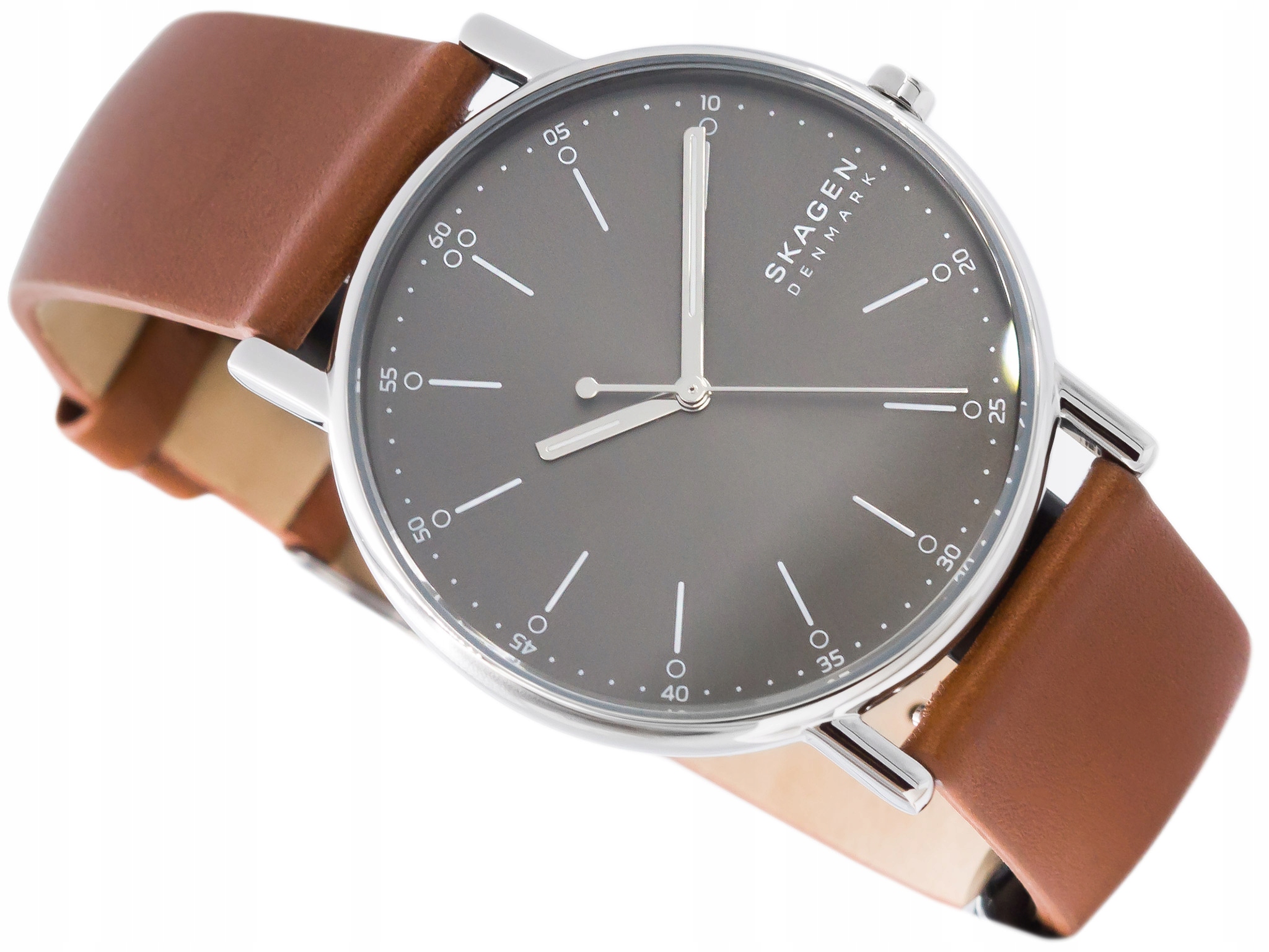 Pánské Hodinky Skagen SKW6578 Signatur Klasické
