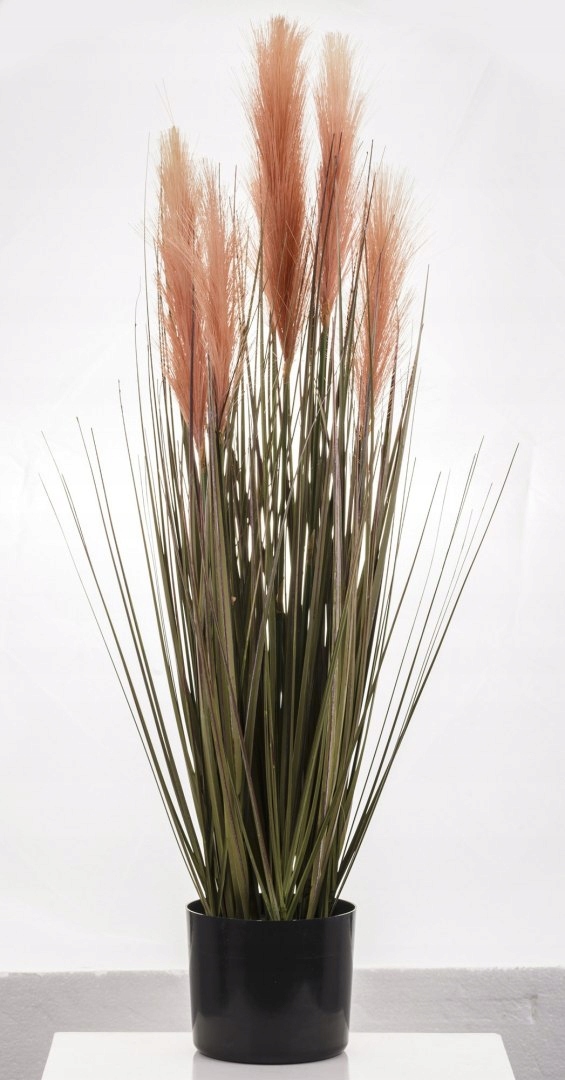 Roślina Dekoracyjna Marka Art-Pol