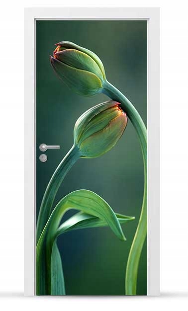 Okleina nálepka na vnější dveře Nábytková samolepicí Snadné Lepení