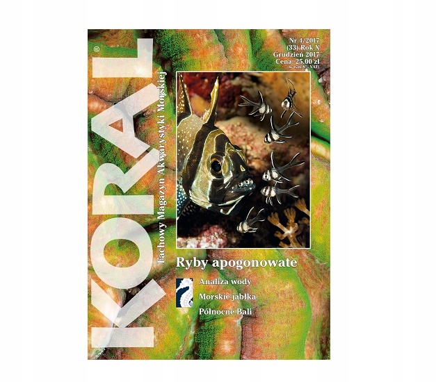 Magazyn Koral 4/2017 polskie wydanie