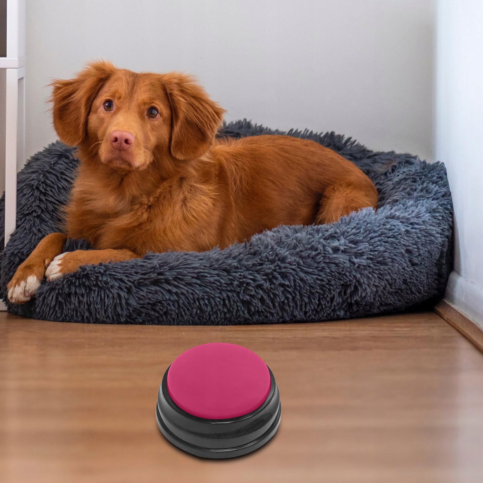 2x Nagrywalny przycisk dźwiękowy Marka inna