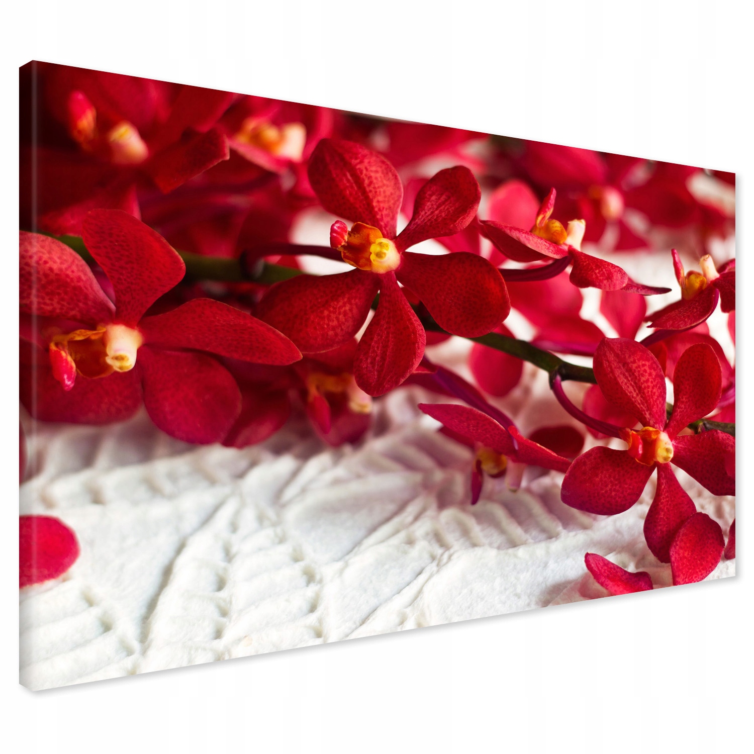 

Obraz na płótnie orchidea kwiat 100x70