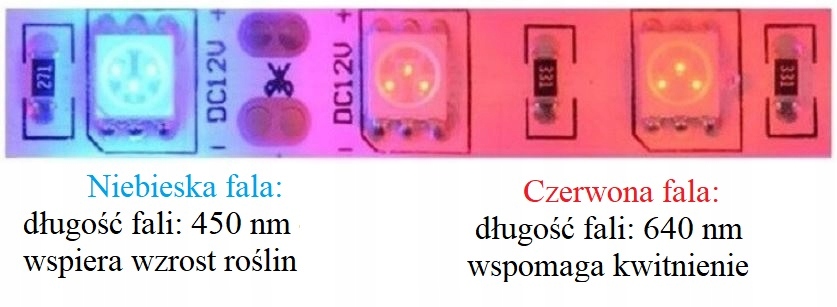 Taśma LED GROW PRO 5630 5:1 do wzrostu roślin 0,5m Stopień ochrony IP IP20