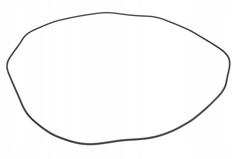 Těsnění Převodovky (X380X3 Oring) Zf Ecomat 5 Hp 500