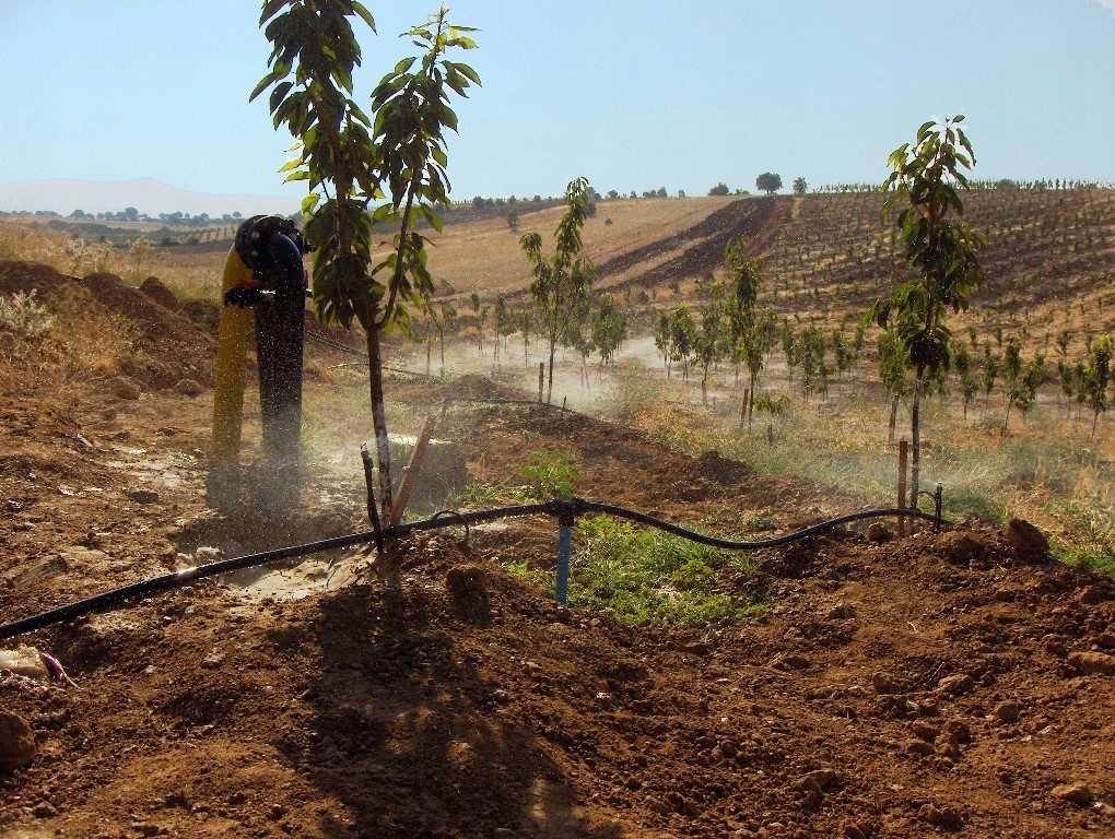 MIKROZRASZACZ Obrotowy 360° Przepływ 90 l/h Zasięg 7m Marka Agrodrip