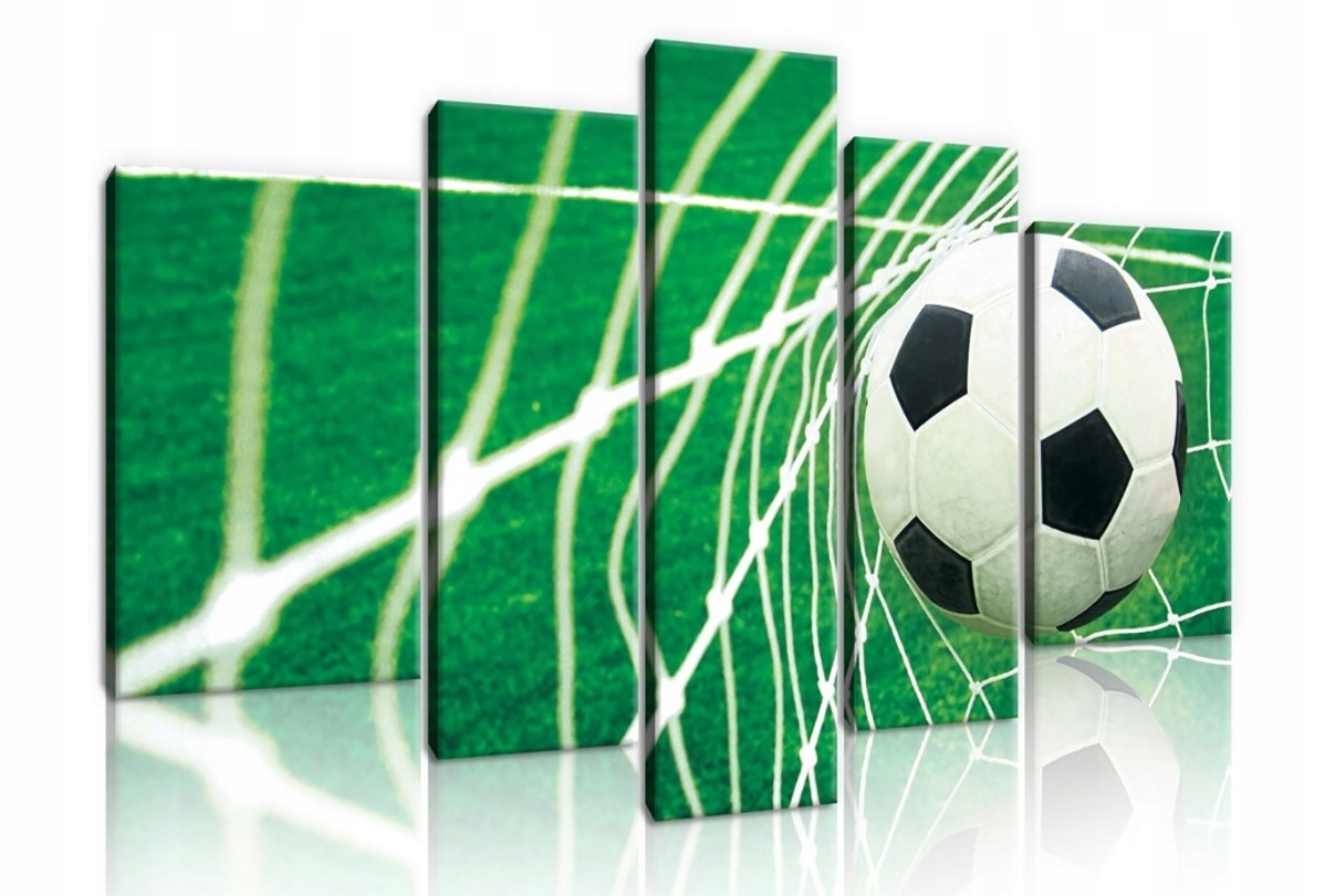 Obraz 170x100 Futbalová lopta športová hra dynamika polypov