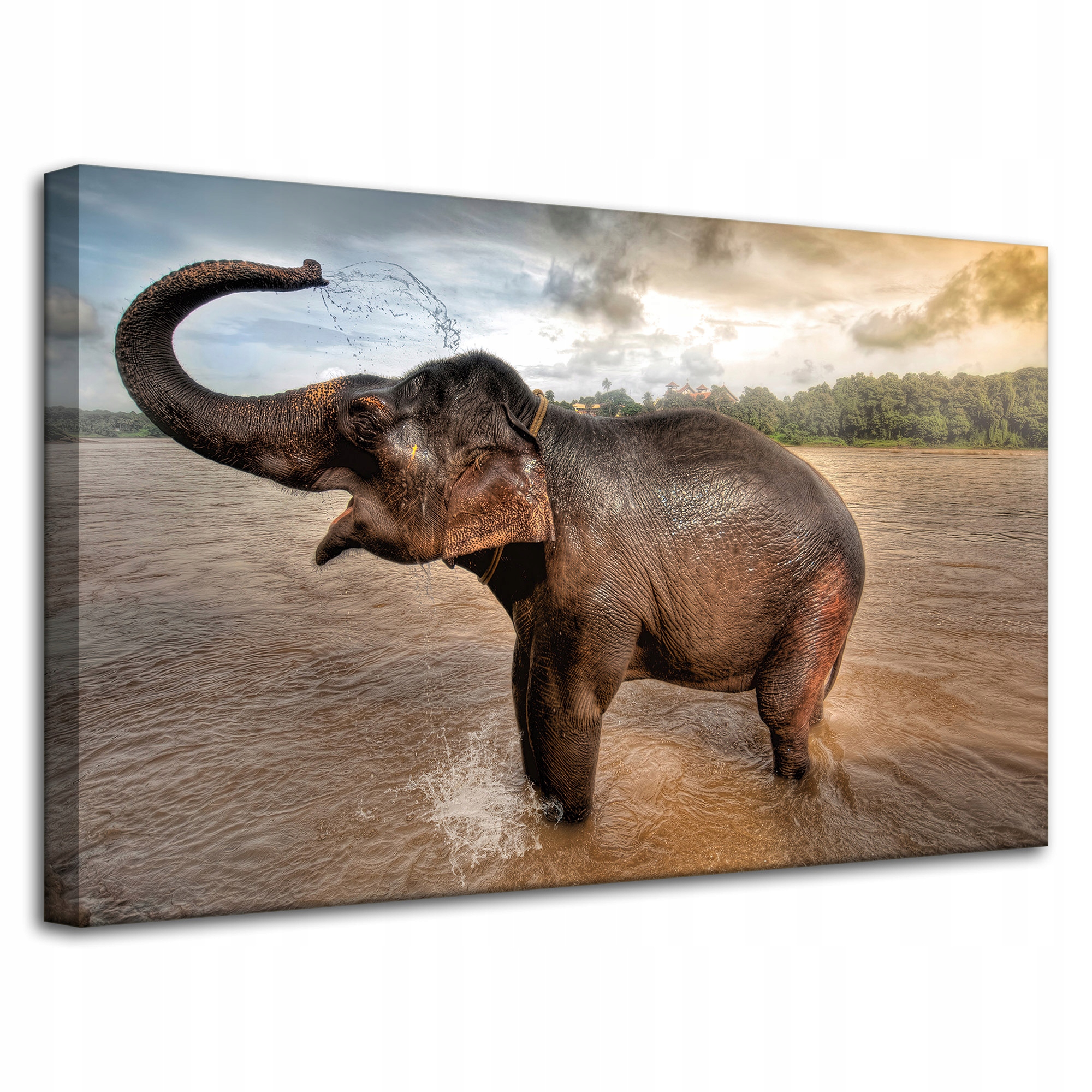 Obraz na plátně Slon Voda Mraky Příroda Koupel 80x50 cm