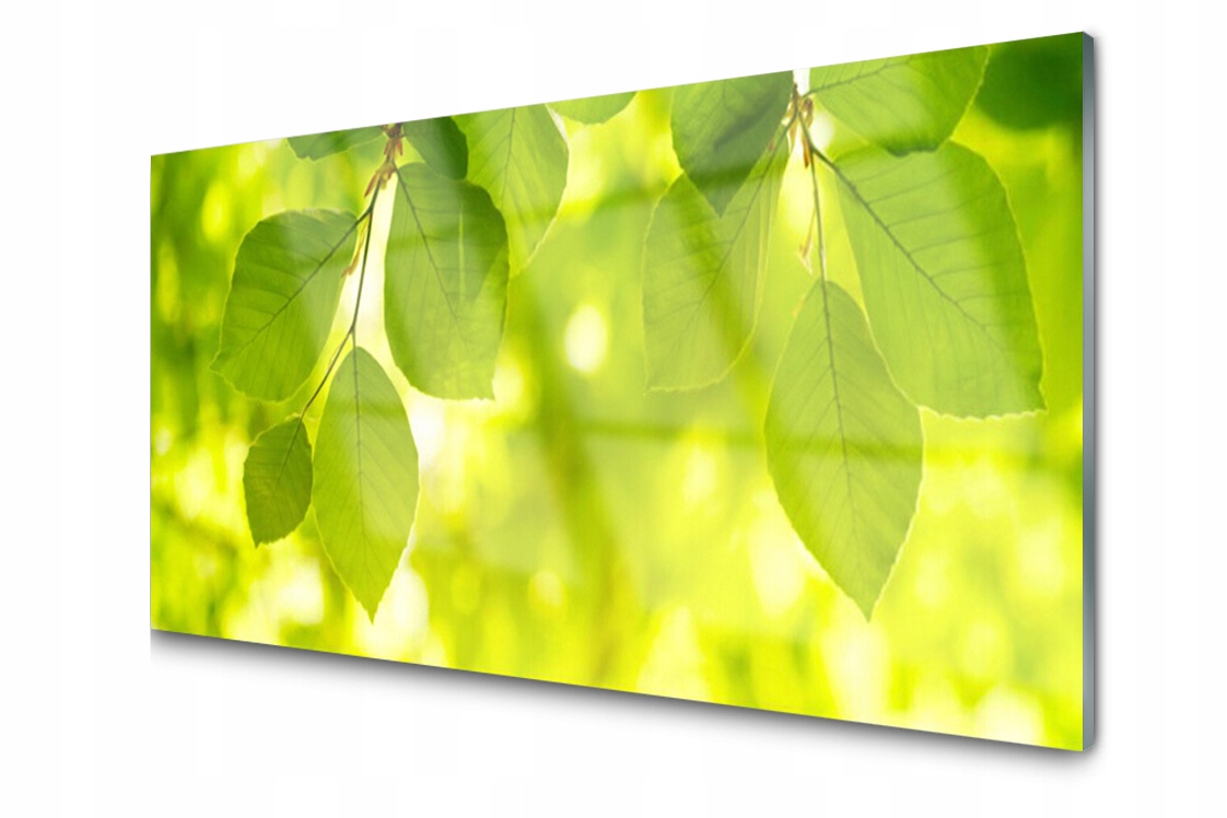 

Panel szklany dekor Liście 120x60 + Klej
