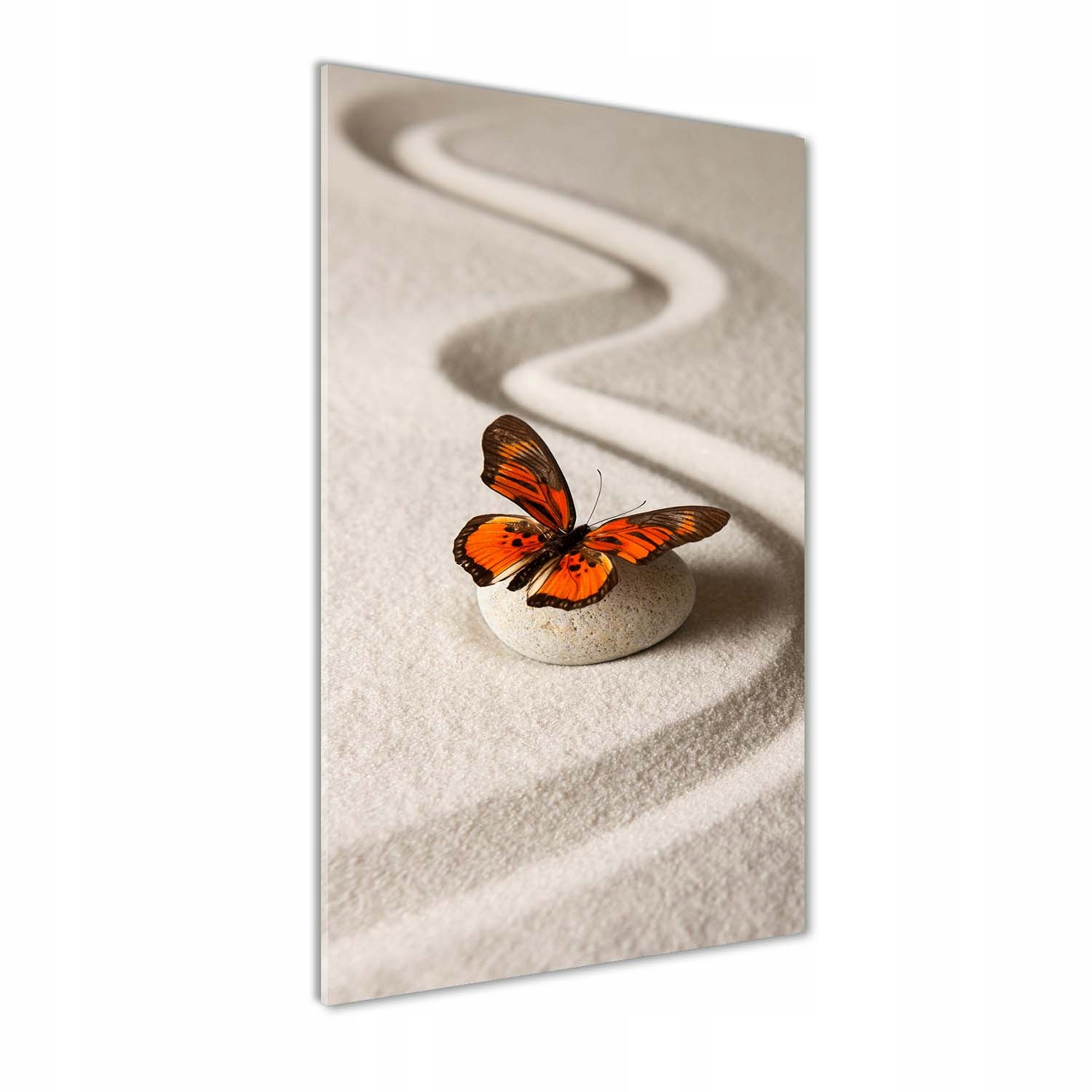 

Foto-obraz na szkle Kamień zen i motyl 60x120 cm