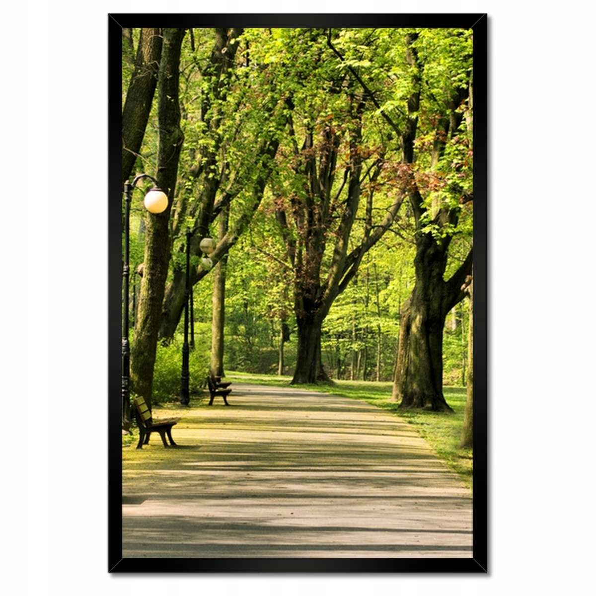 Plakáty v rámu 40x60 Park Citadela