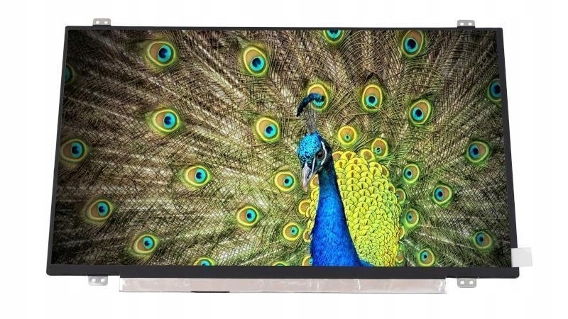 

Matryca Mat Fhd Ips Do Dell Latitude 14 5480 5488