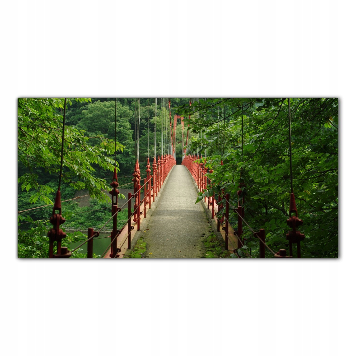 

Obraz Szklany Foto-obraz Most Las Drzewa 120x60