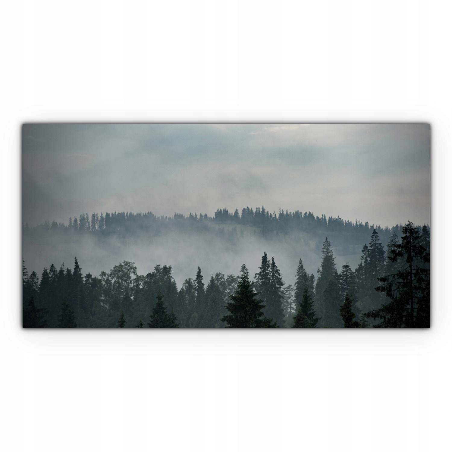 

Nowoczesny Canvas 100x50 Góry Las Mgła Krajobraz