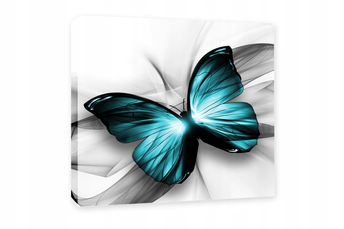 

Obraz Motyl Turkusowy 70x70
