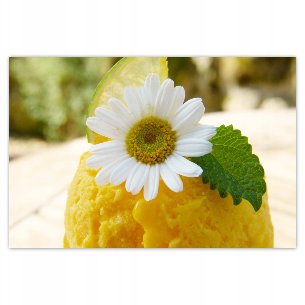 

Plakaty 93x62 Owocowe Lody morelowe