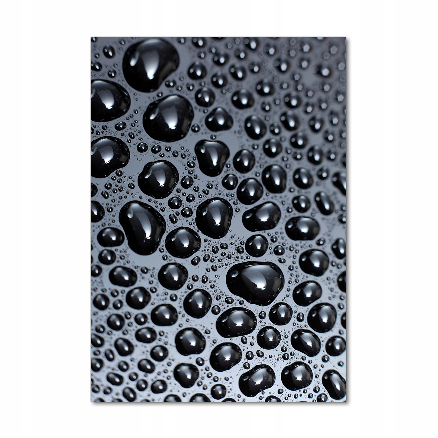 

Nowoczesny fotoobraz akrylowy Krople wody 70x100cm