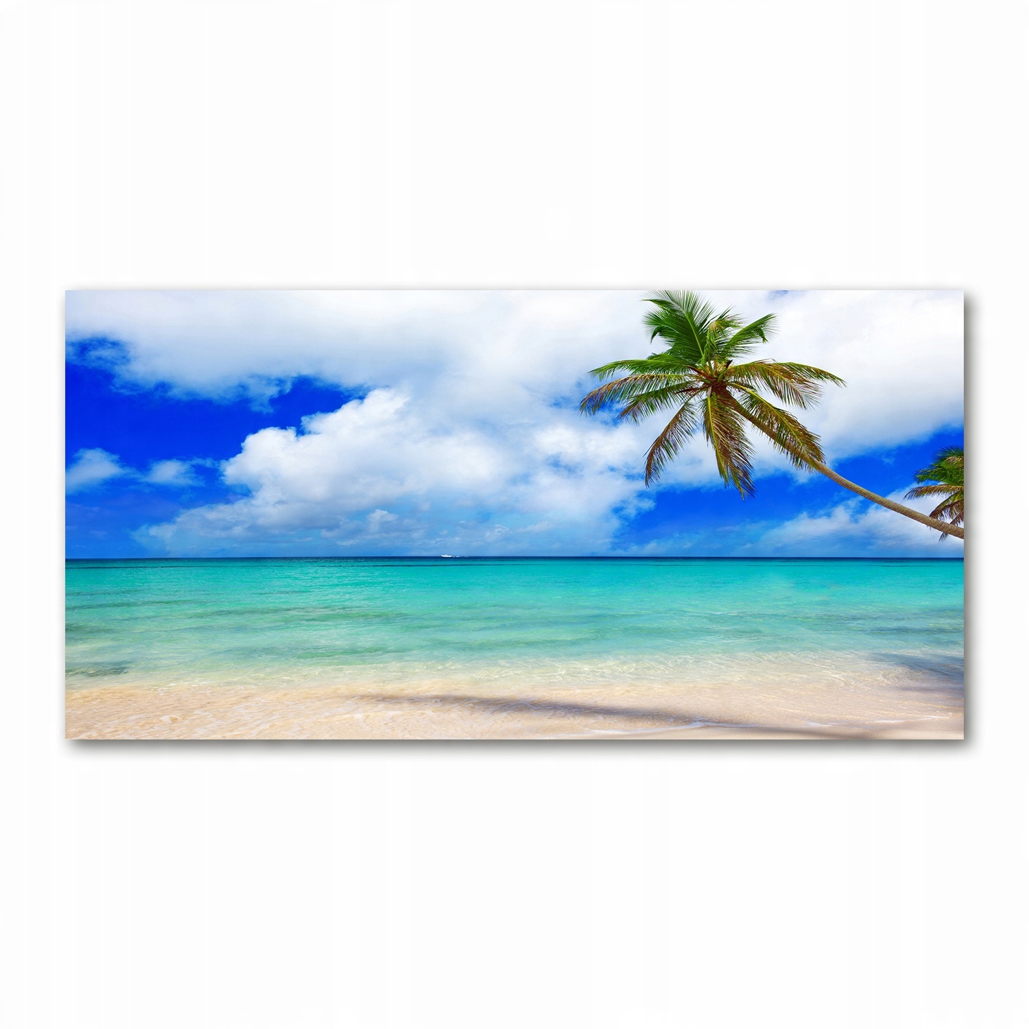 

Foto-obraz akryl Karaiby plaża zdjęcie 140x70 cm