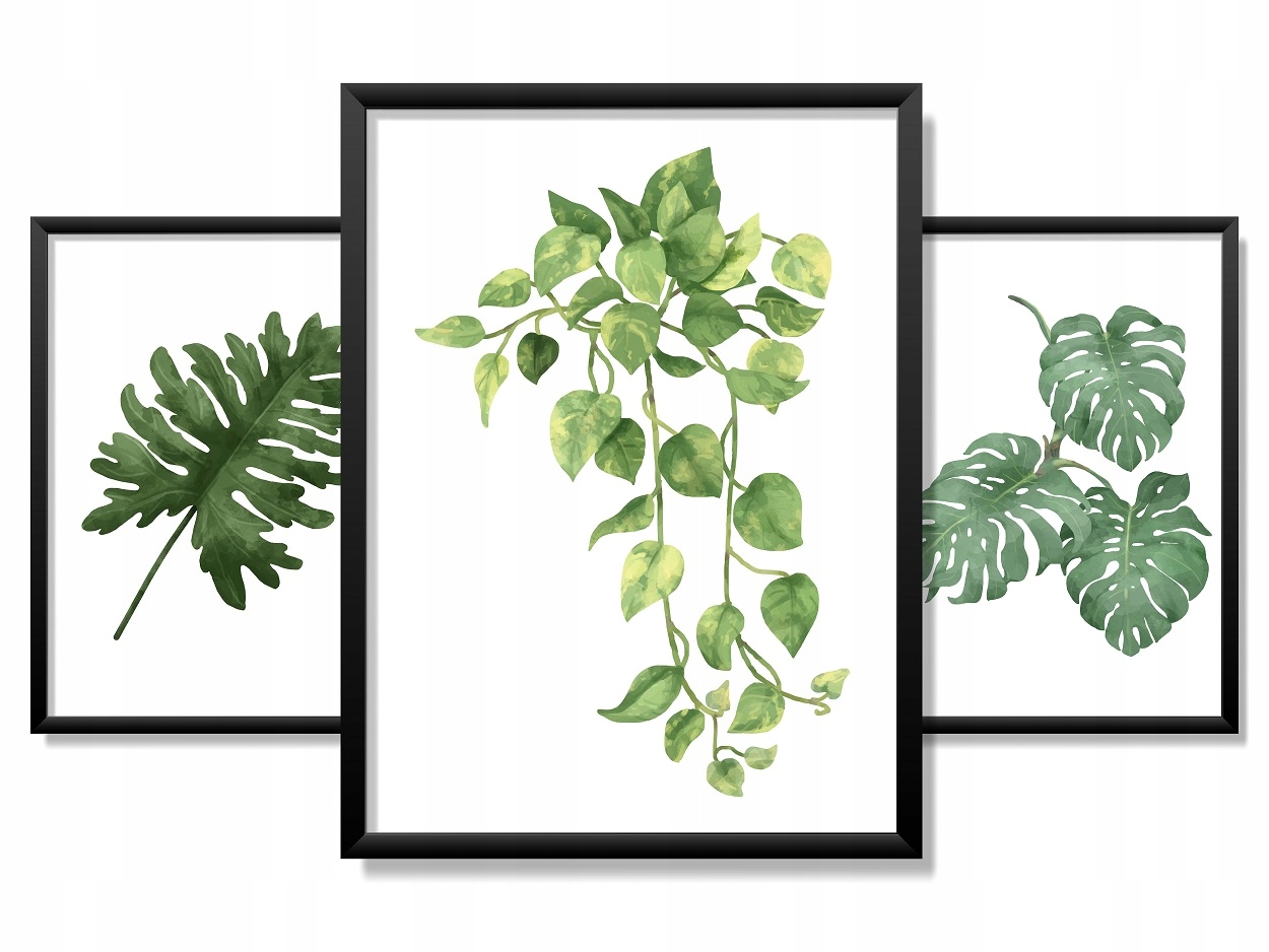 

Obrazy W Ramie 90x40cm Nowoczesny Wzór Monstera