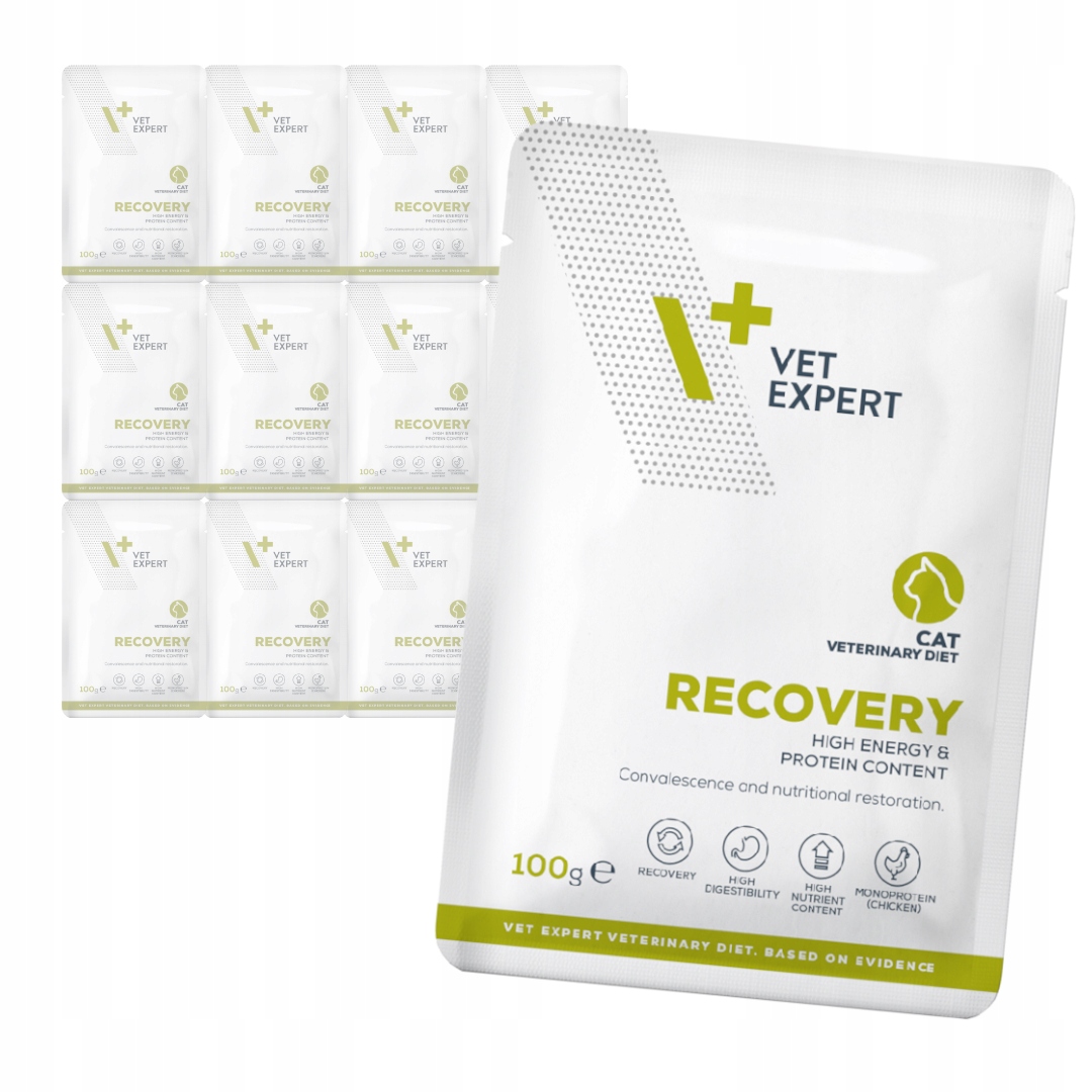 Levně VetExpert Veterinary Diet Recovery 12x100g Krmivo Pro Kočky Rekonvalescence