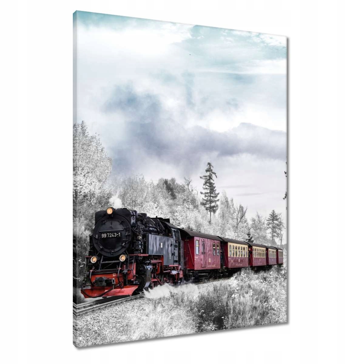 Obrazy 60x80 Vlak a zimní aura