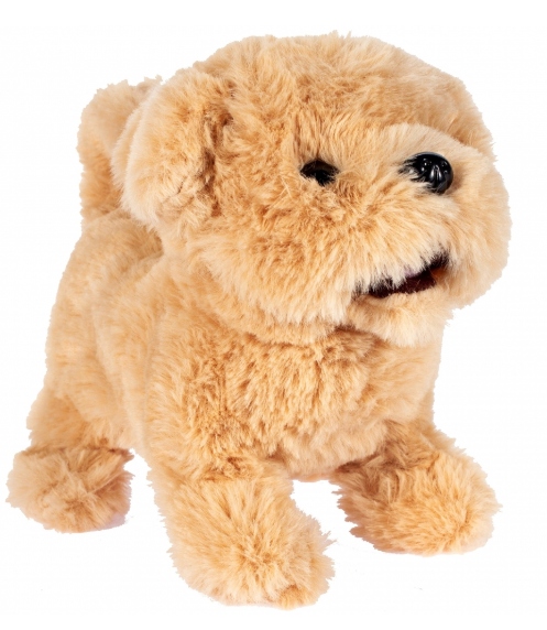 

Interaktywny Pies Golden Retriever Szczeniaczek