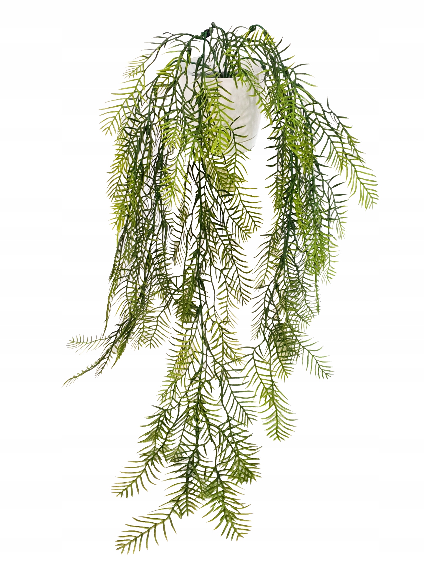 

Sztuczna Paproć Wisząca Zwis Paproci Paprotka