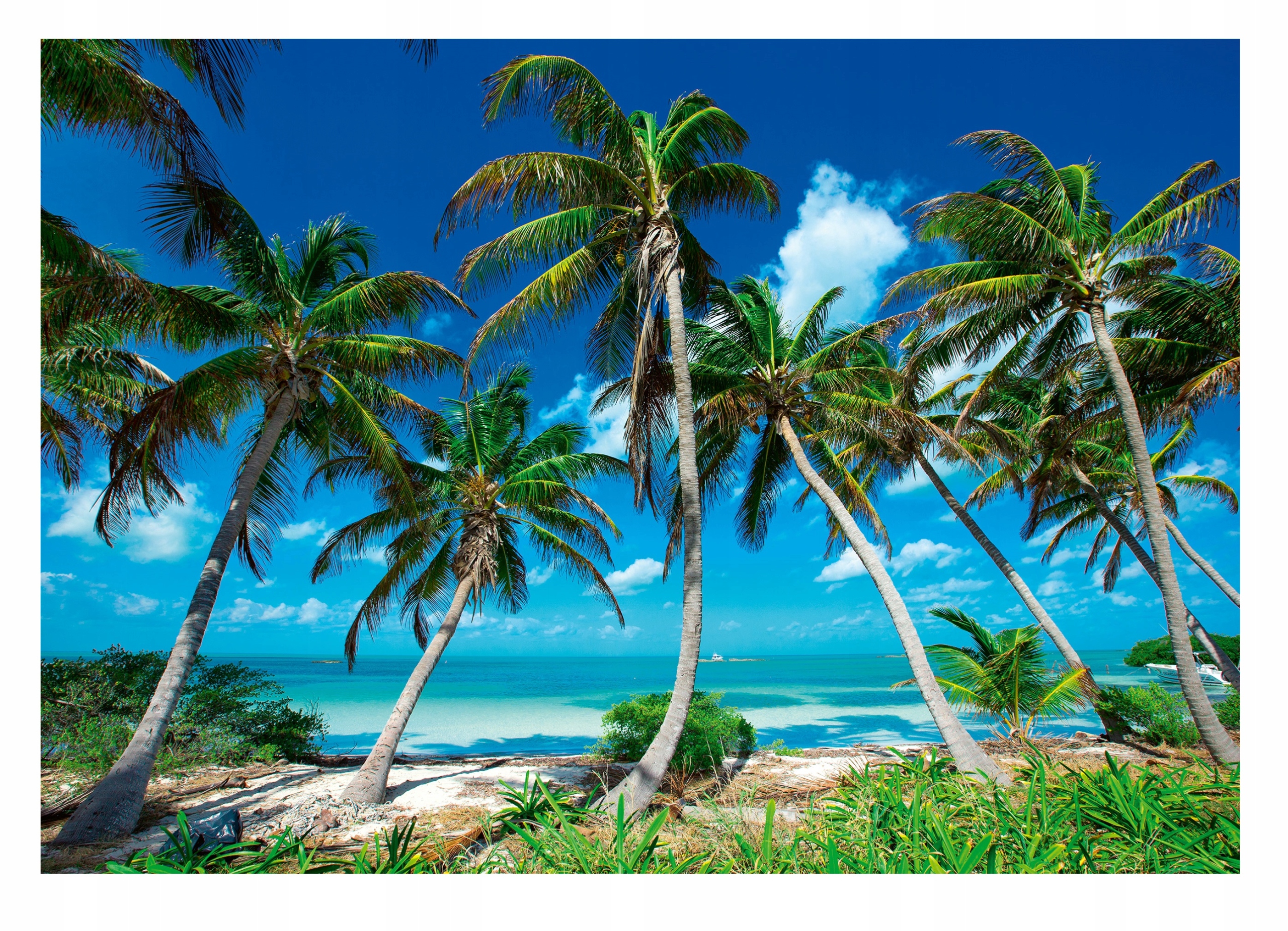 

Fototapeta Rajska Plaża 3D Morze Palmy 254x184