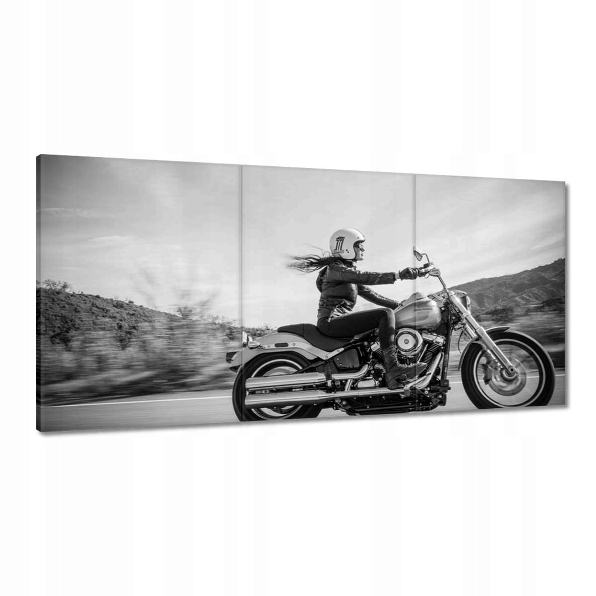 Obrazy 180x90 Harley Davidson Motocykel