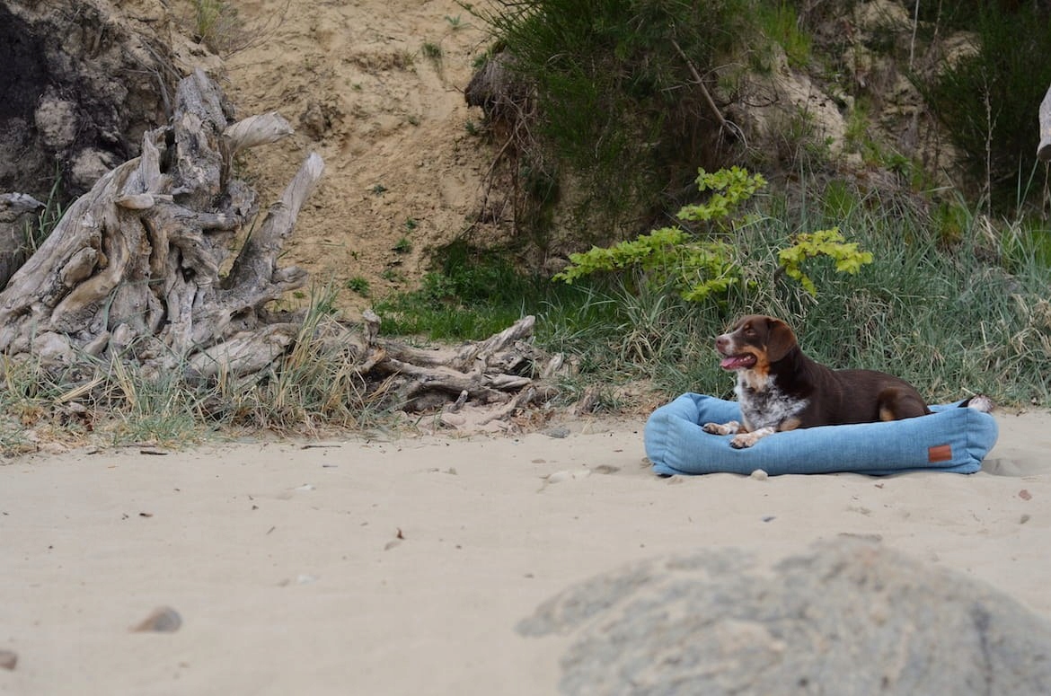 Pelíšek pro psa Cuddle Ross (Mors