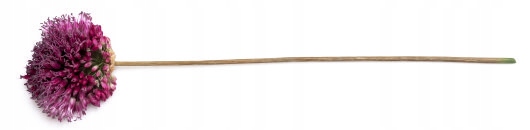 gruby ZIMOWY komin DRESOWY z zapinką - ZOLLA Wzór dominujący bez wzoru